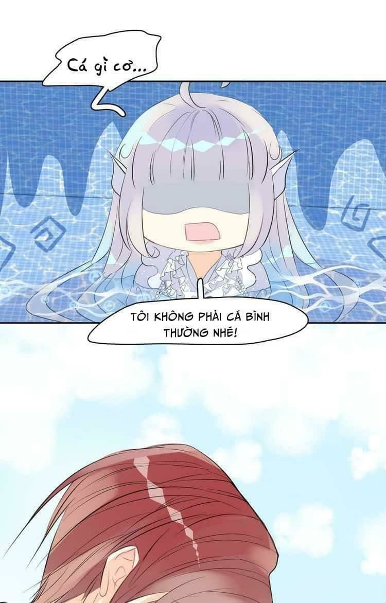 Bộ Váy Của Nhân Ngư: Chapter 6