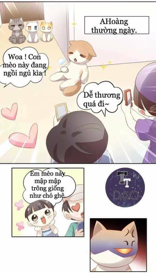 Dưới Móng Vuốt Mèo: Chapter 10