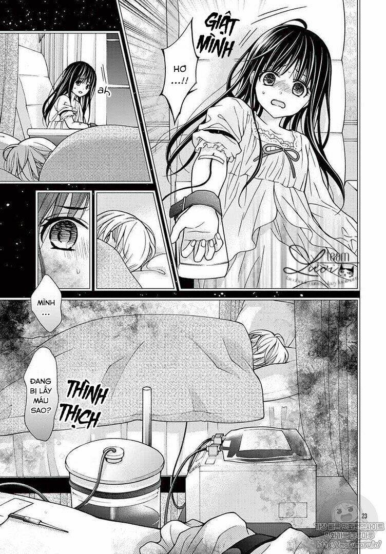 Máu Của Cậu Chỉ Thuộc Về Mình Tớ...: Chapter 33