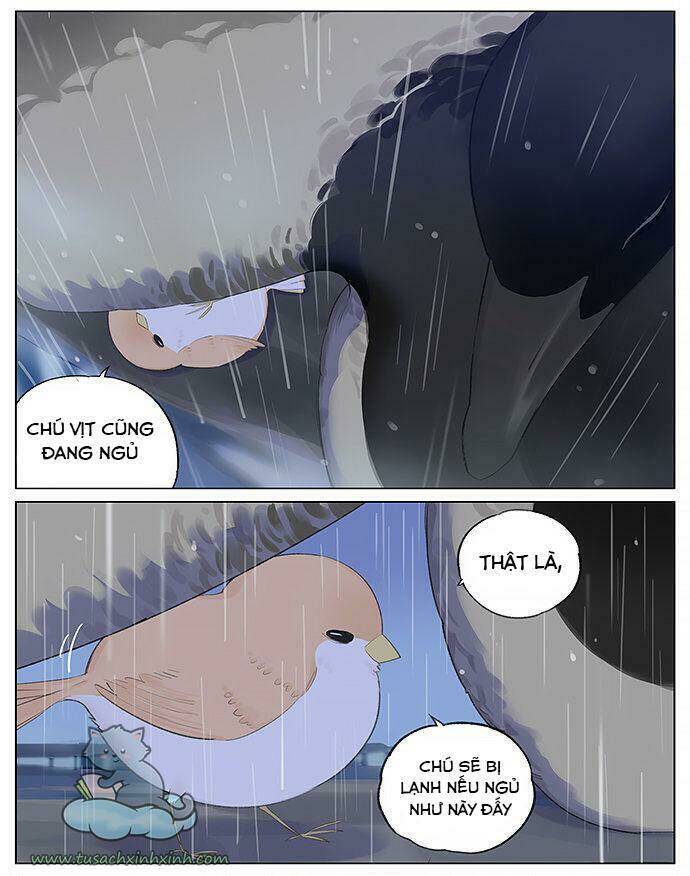 Chim Sẻ Gọi Ngỗng Trời: Chapter 12