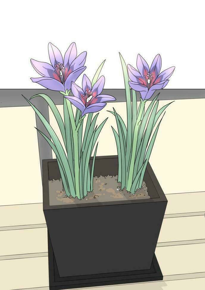 30 Phút Bước Đi Bên Em: Chapter 13