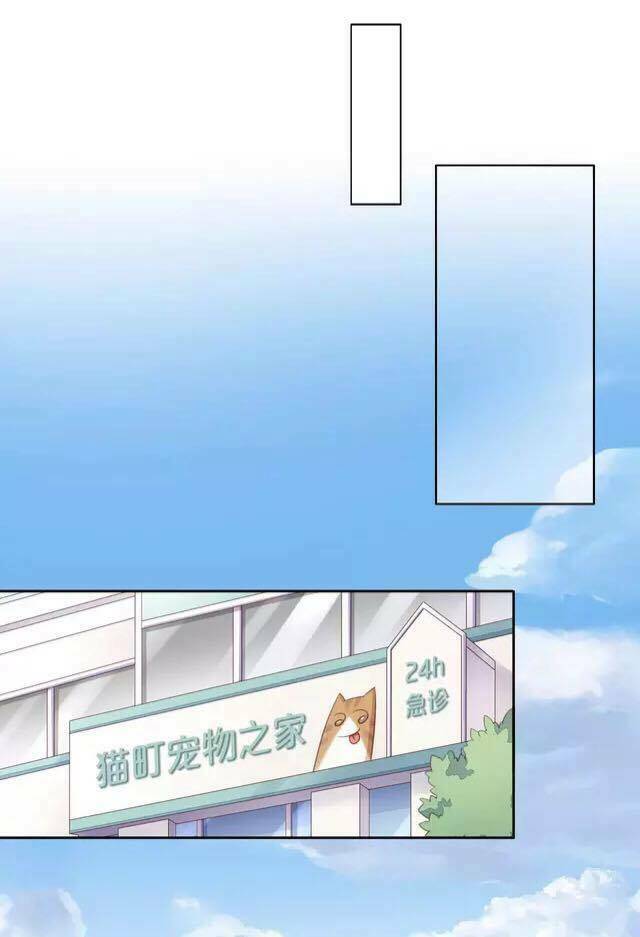 Dưới Móng Vuốt Mèo: Chapter 16