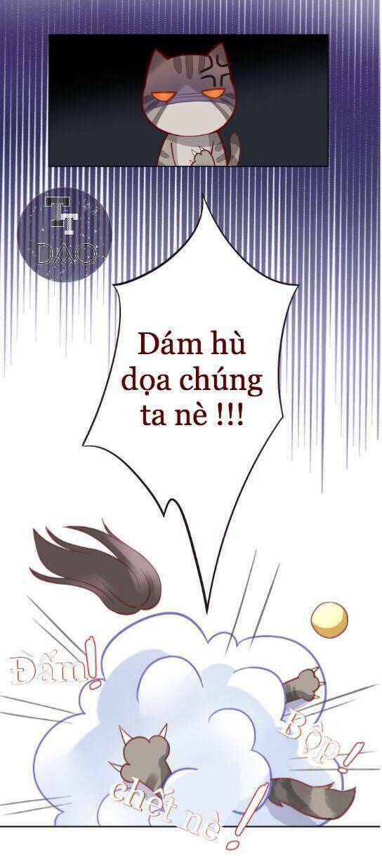 Dưới Móng Vuốt Mèo: Chapter 4