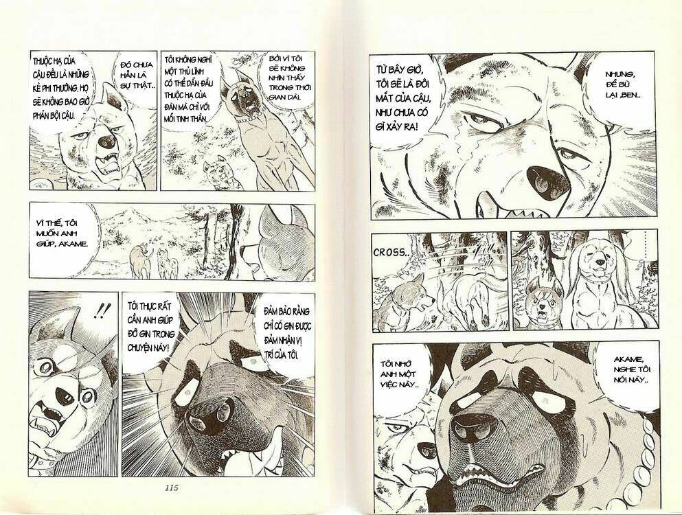 Chú Chó Có Nghĩa - Ginga Nagareboshi Gin: Chapter 20