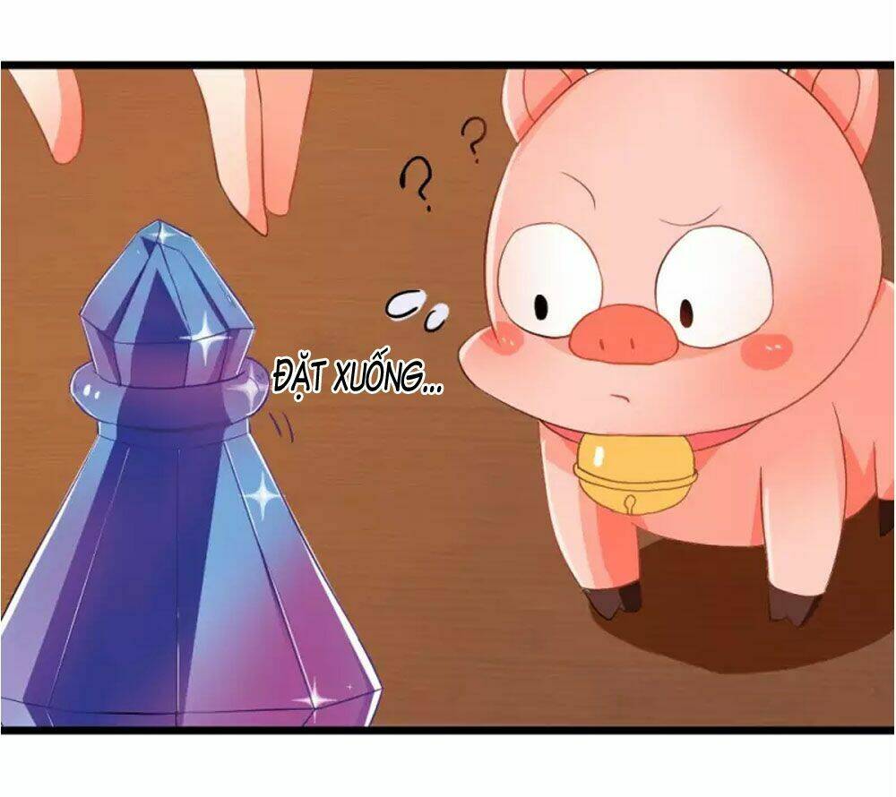 Đệ Tử Của Ta Là Heo: Chapter 4