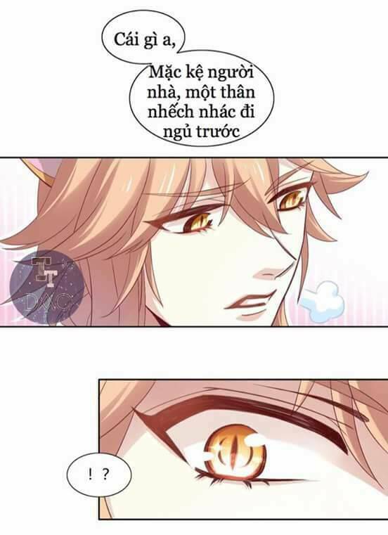 Dưới Móng Vuốt Mèo: Chapter 1
