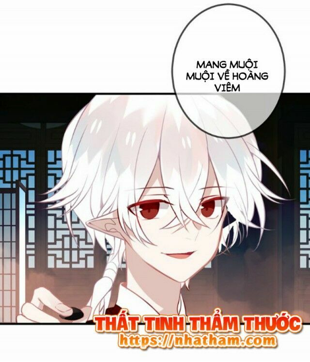 Ngô hoàng tại thượng: Chapter 40