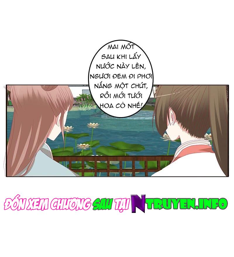 Thông Linh Phi: Chapter 384