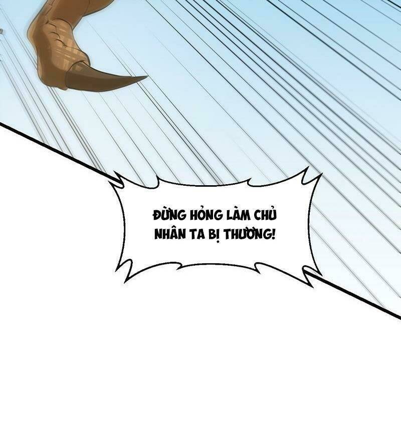 Hệ Thống Thần Long Nghịch Thiên: Chapter 61