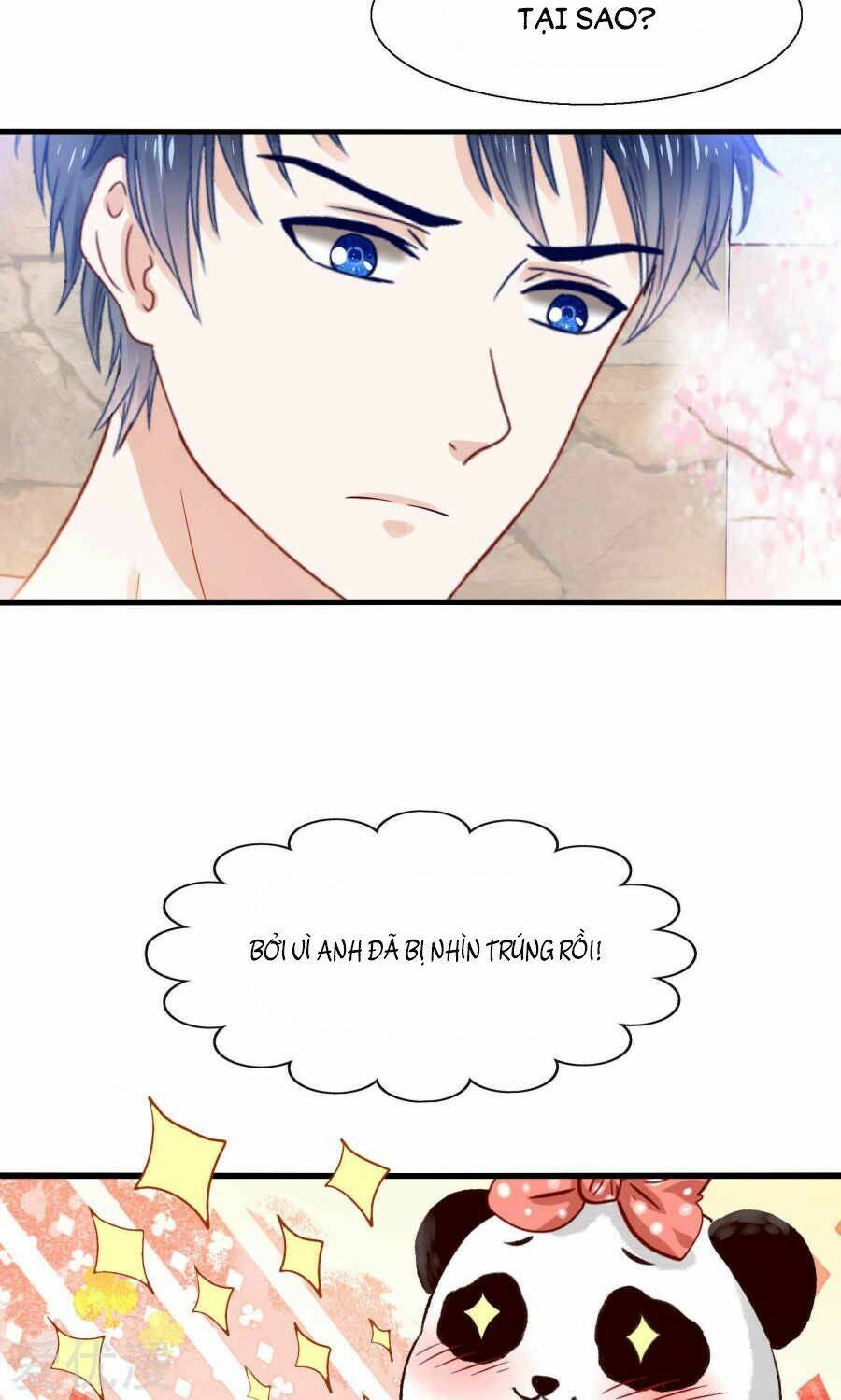 Tôi Bị Gấu Trúc Nhìn Trúng Rồi: Chapter 1