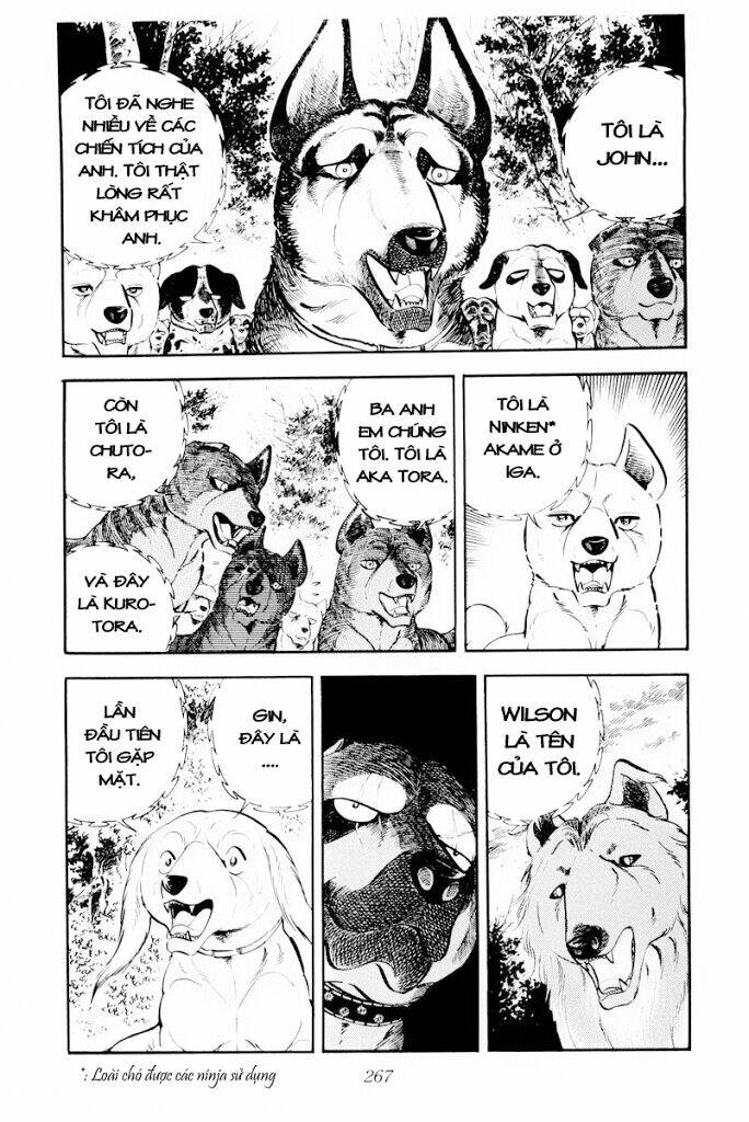 Chú Chó Có Nghĩa - Ginga Nagareboshi Gin: Chapter 30.1