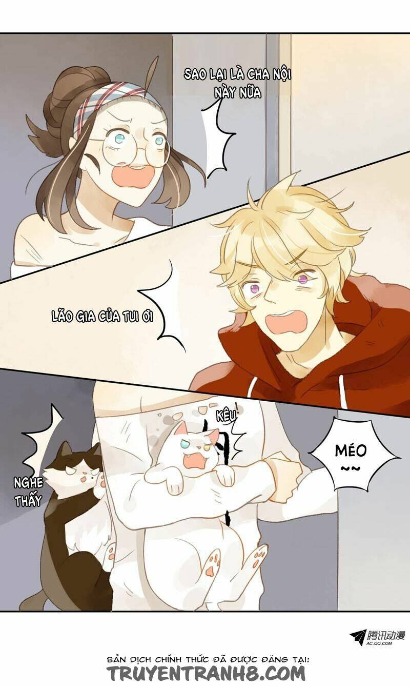 Sức Mạnh Của Sắc Đẹp: Chapter 12