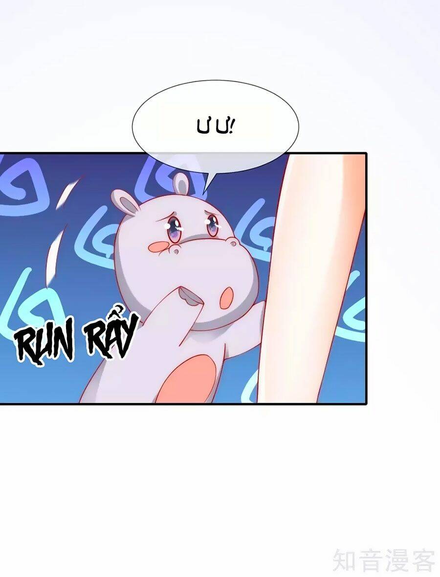 Sủng Hậu Của Vương: Chapter 35