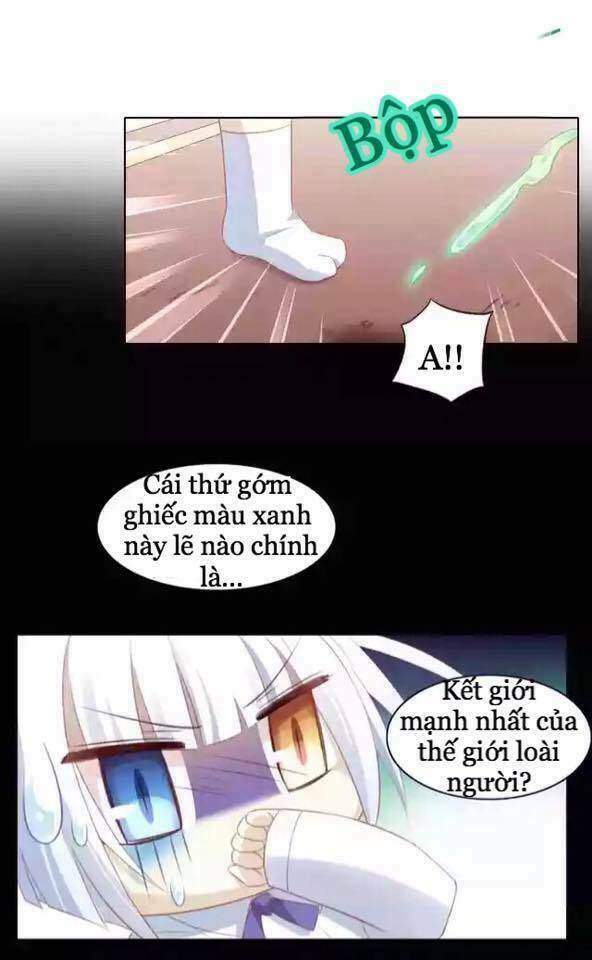 Dưới Móng Vuốt Mèo: Chapter 12