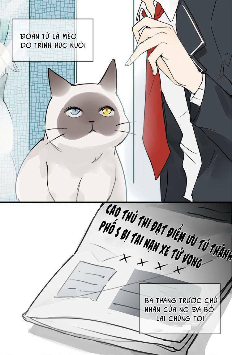 Nghe Thấy Thời Gian Rung Động: Chapter 2