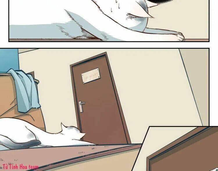 Thời Khắc Ấy, Chúng Ta Gặp Nhau: Chapter 13