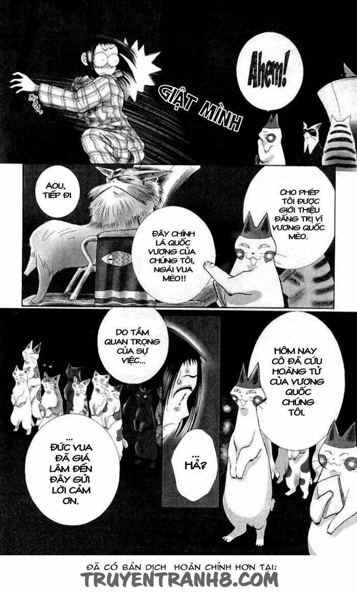 Lời Thì Thầm Từ Trái Tim: Chapter 7
