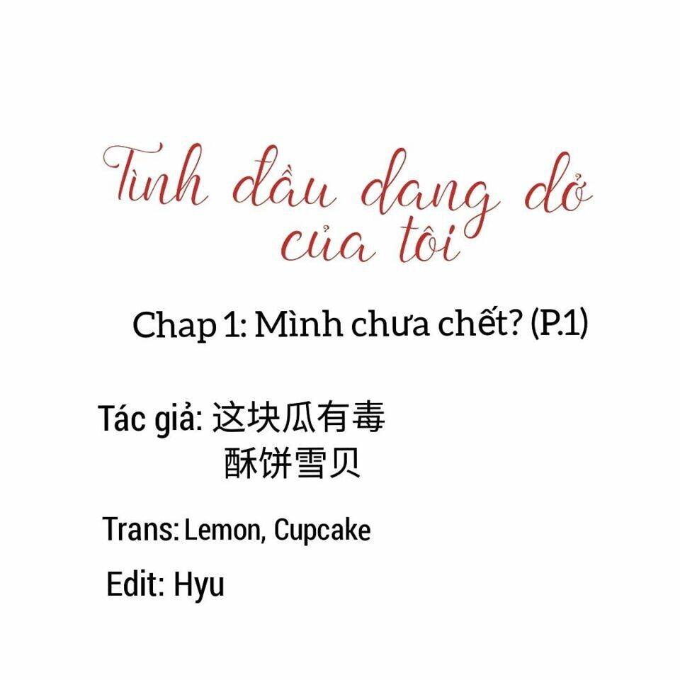 Mối Tình Đầu Dang Dở Của Tôi: Chapter 1