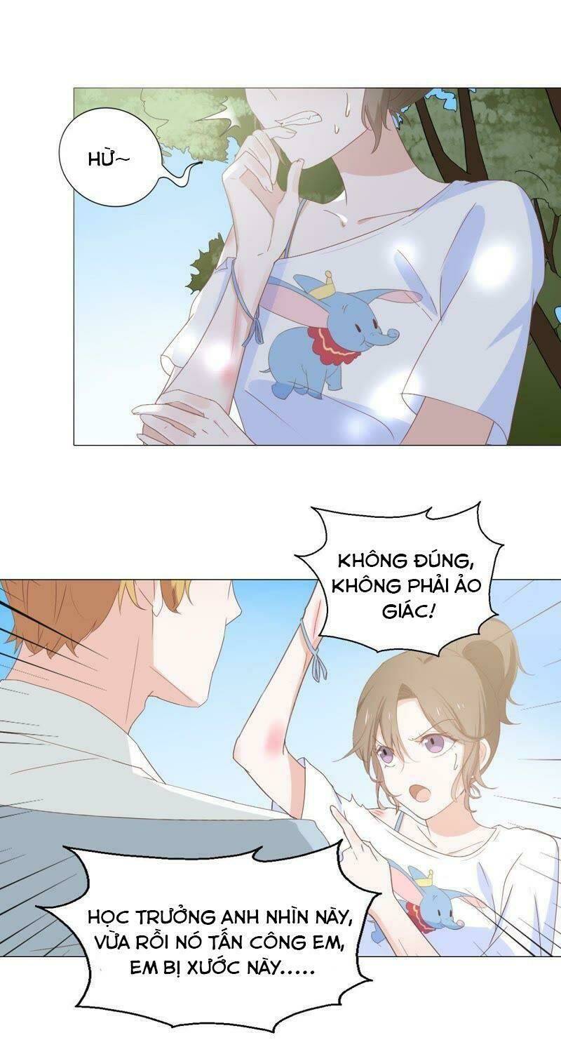 Thập Nhị Hắc Miêu: Chapter 6