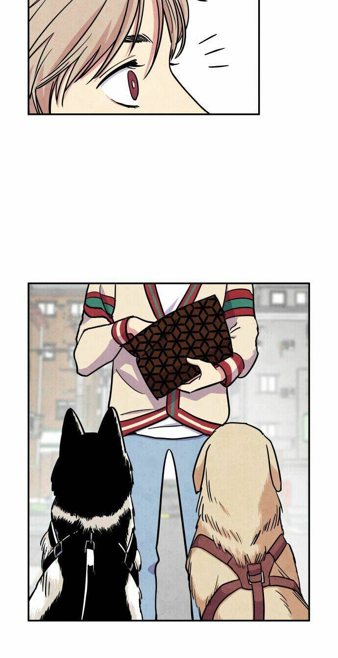 Tai Sói Và Mũ Đỏ: Chapter 28