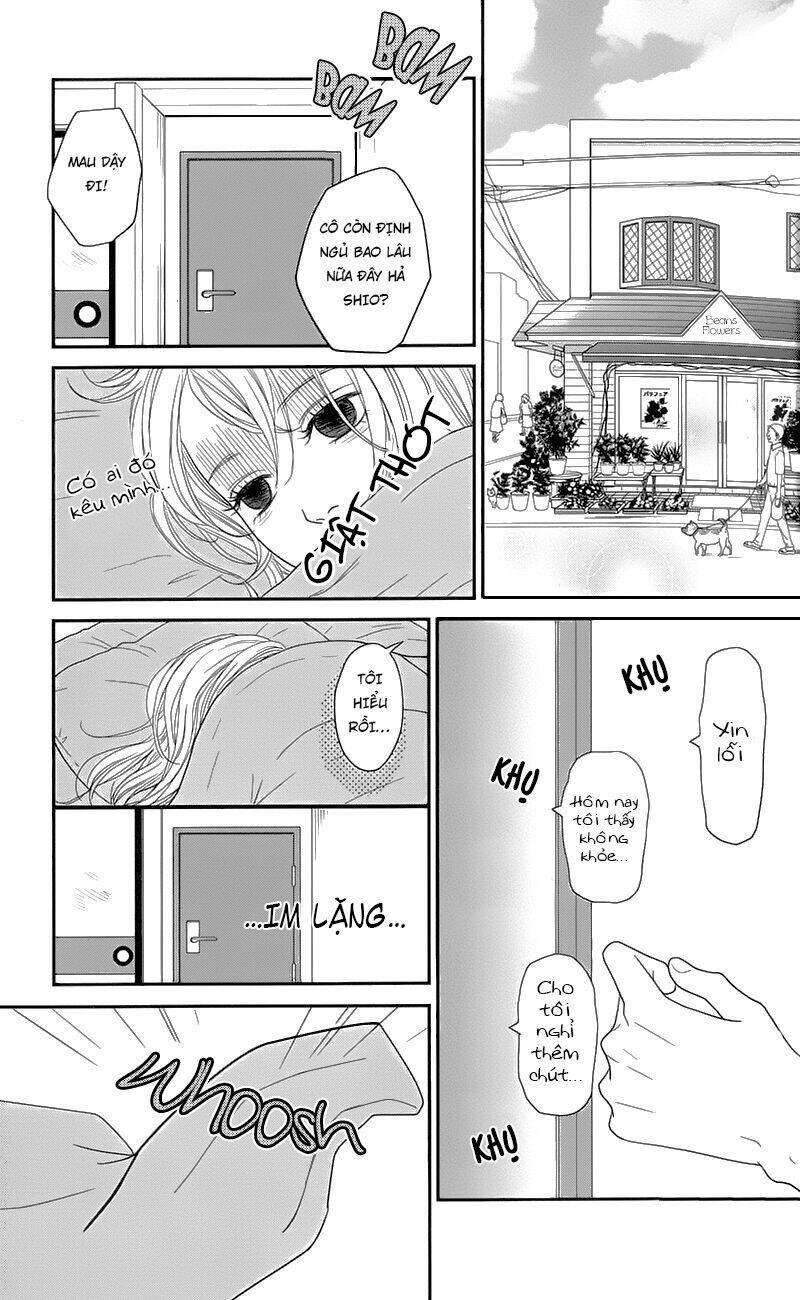 Đóa Hoa Năm Ấy: Chapter 1