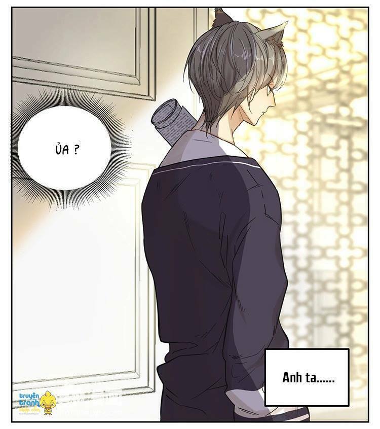 Cứu mạng ! Loài mèo thống trị thế giới rồi !: Chapter 12
