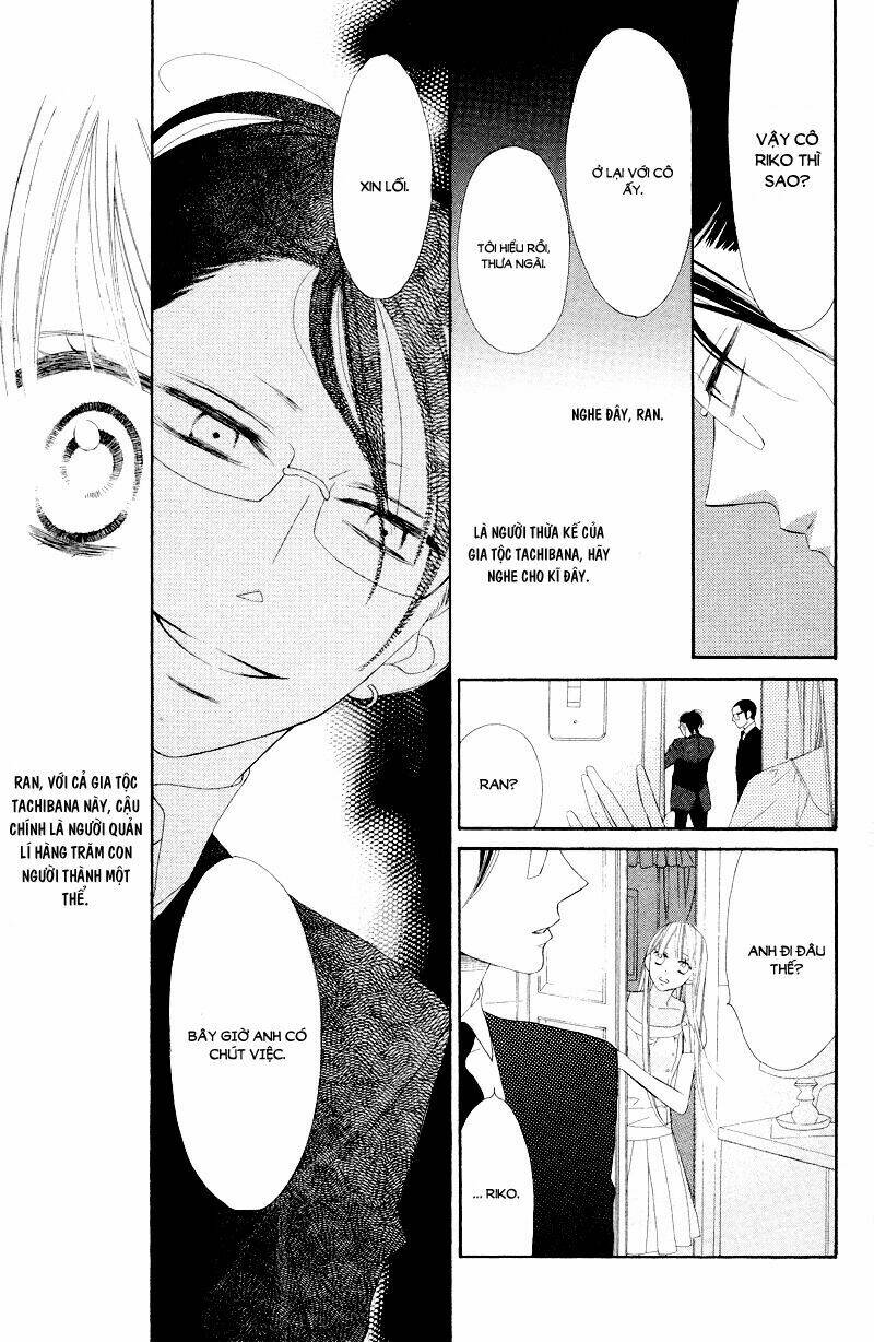 Hoa Trong Bão: Chapter 7