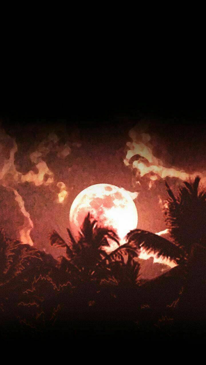 Dead Days: Chapter 53