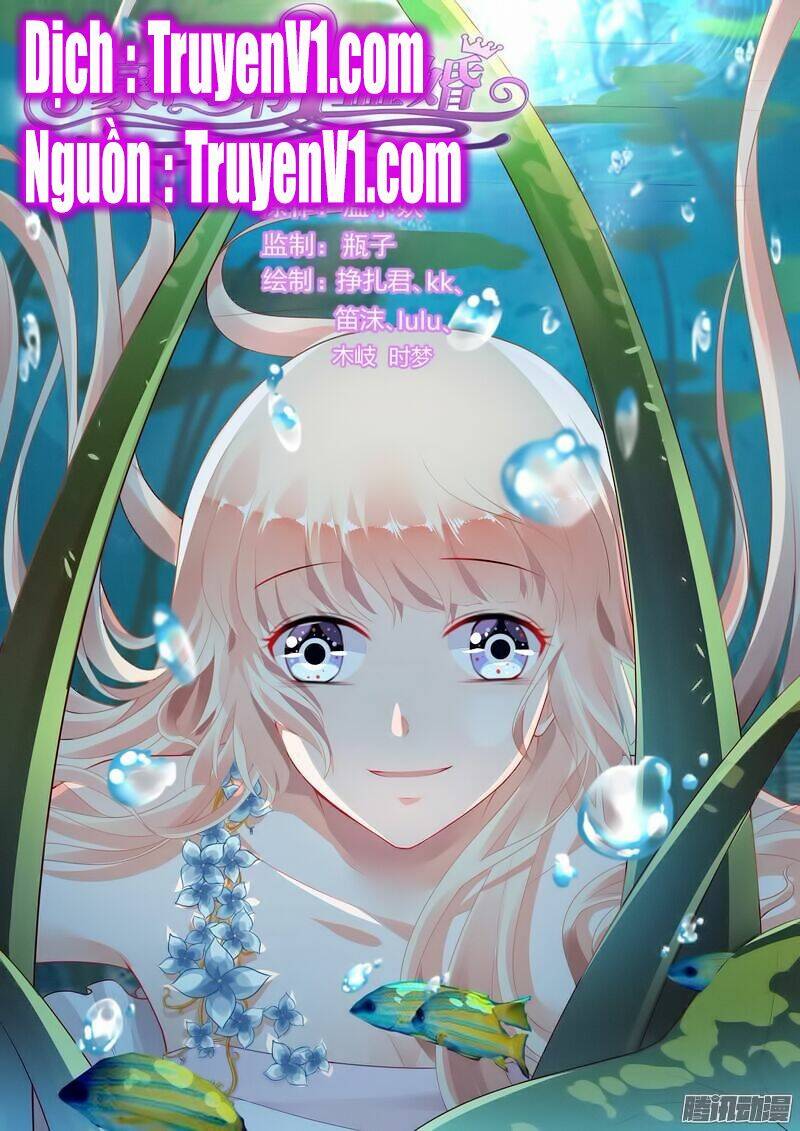 Hào Môn Đệ Nhất Thịnh Hôn: Chapter 116