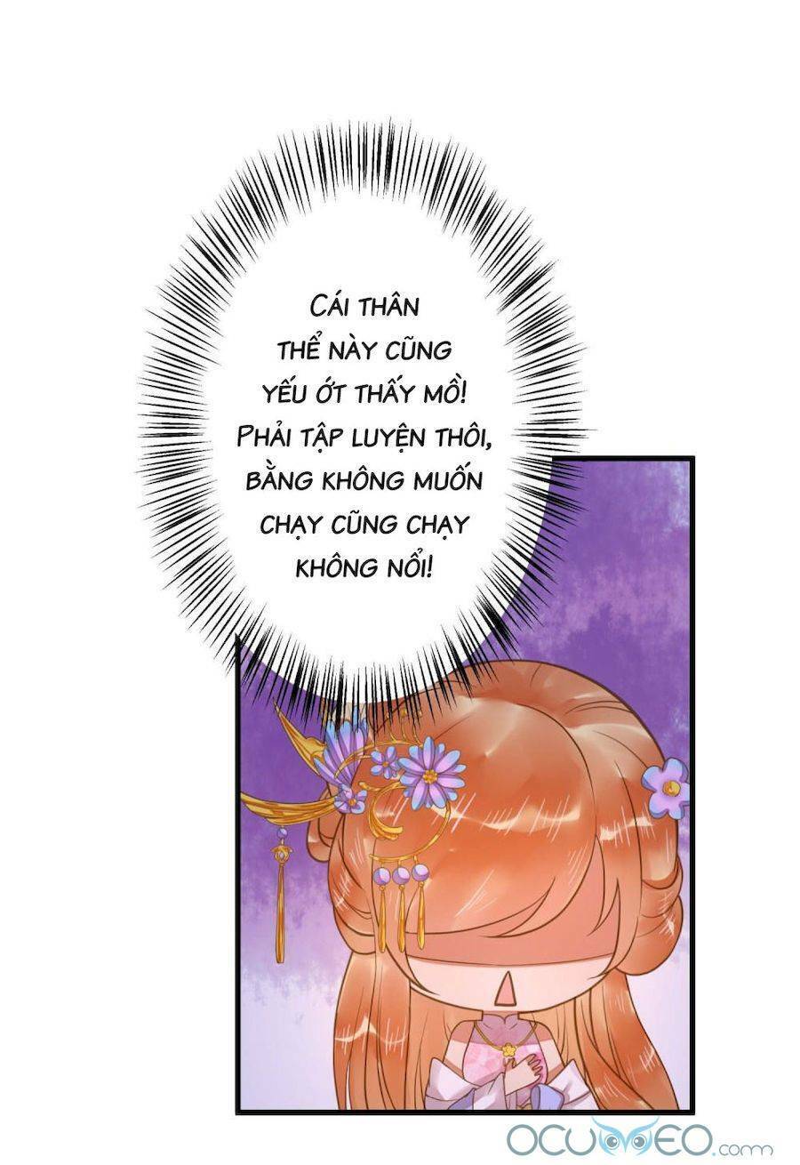 Quý Phi Này Có Chút Cơ: Chapter 11