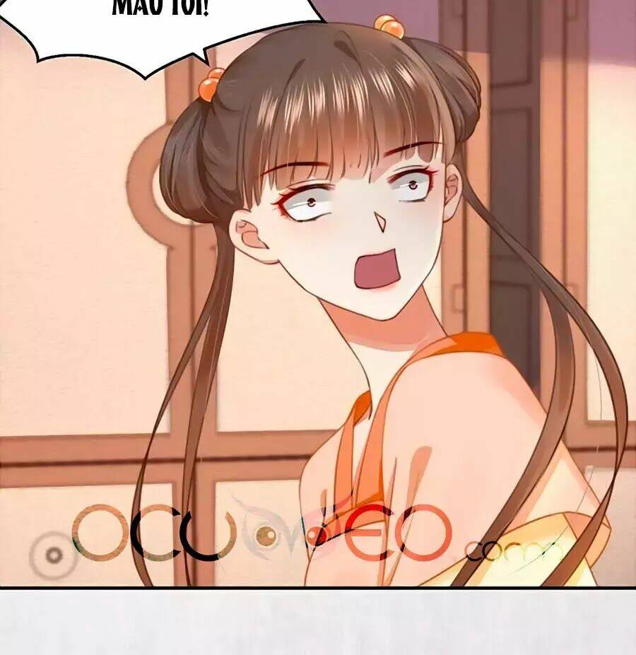 Hoạn Phi Hoàn Triều: Chapter 61