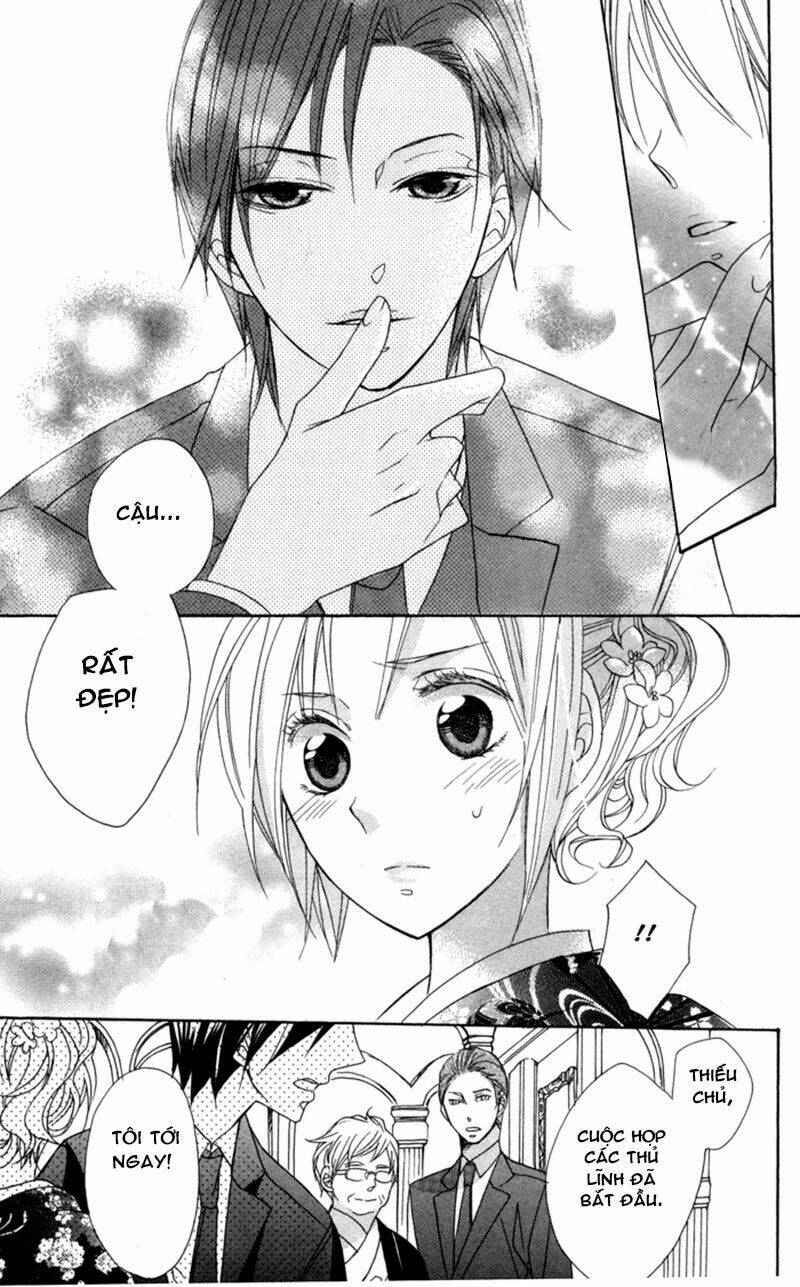 Hoa Hồng Hoang Dã: Chapter 5