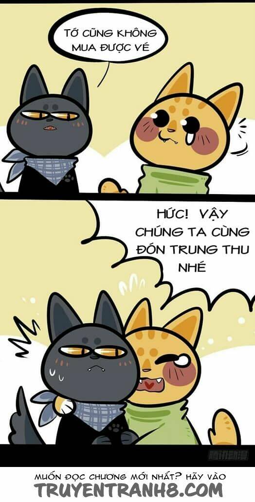 Đời Không Như Mình Tưởng: Chapter 5