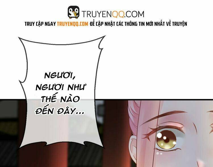 Báo Cáo Vương Gia, Vương Phi Là Một Con Mèo: Chapter 3