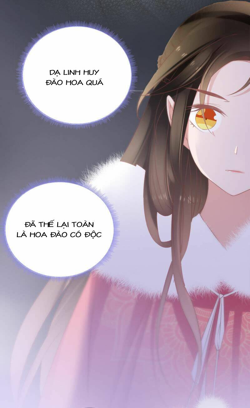 Solo Đi Vương Gia: Chapter 107