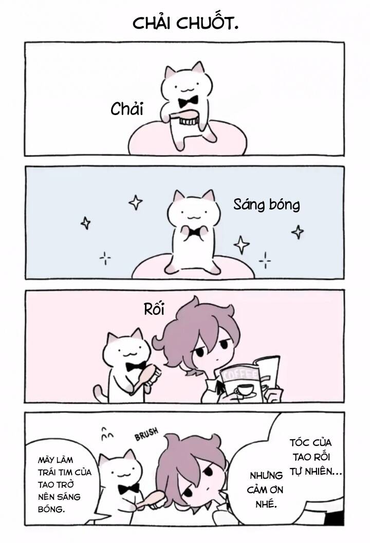 Chú Mèo Kỳ Diệu Kyuu-Chan: Chapter 748