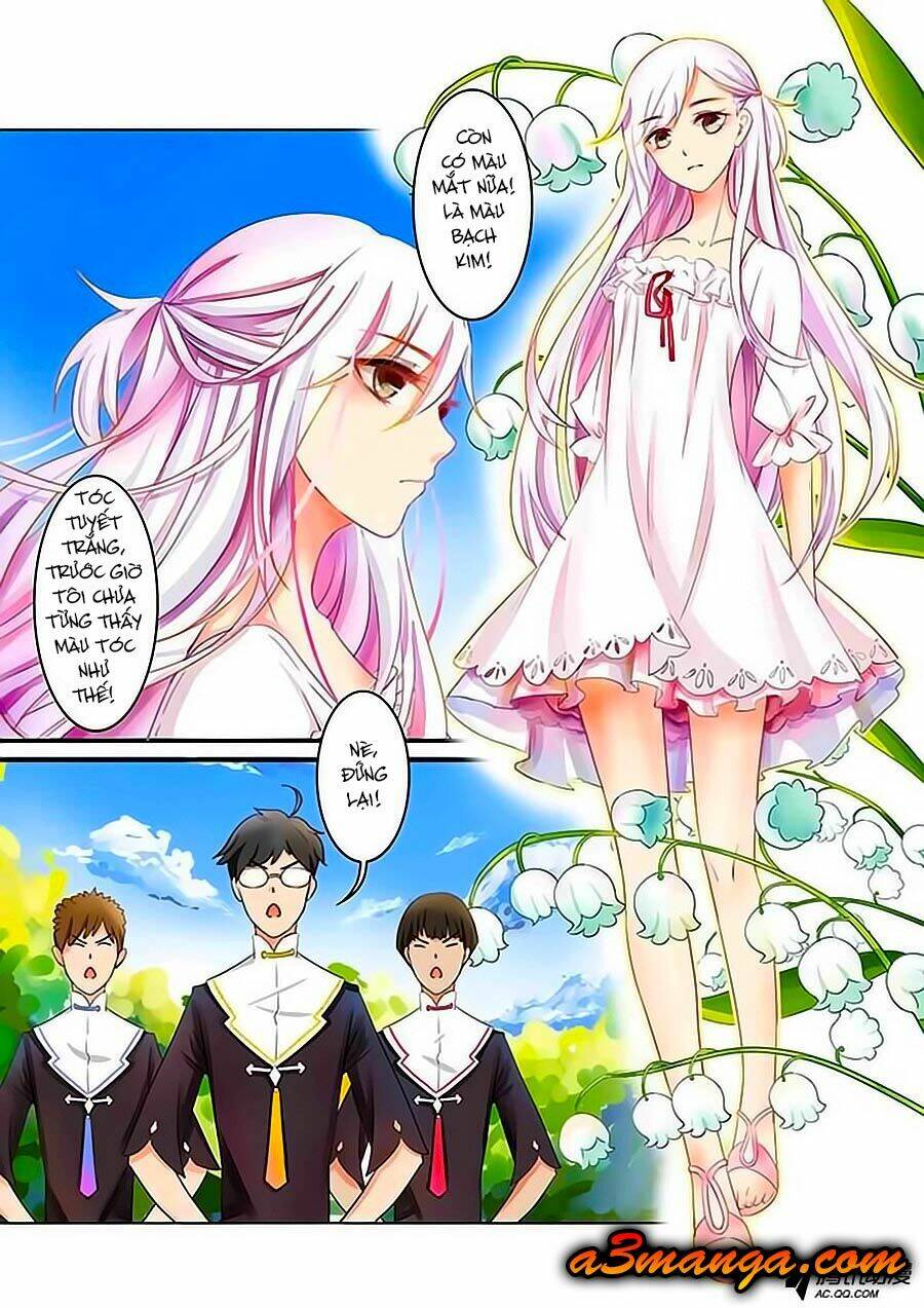 Chước Chước Lưu Ly Hạ: Chapter 1