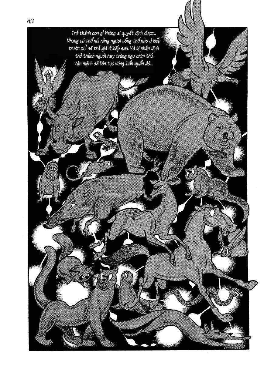 Chim Lửa: Chapter 46