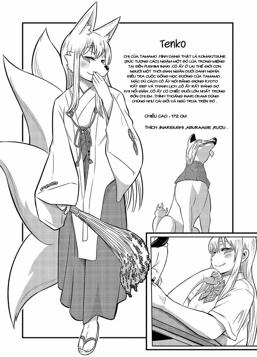 High School Inari Tamamo-Chan: Chapter 15.5