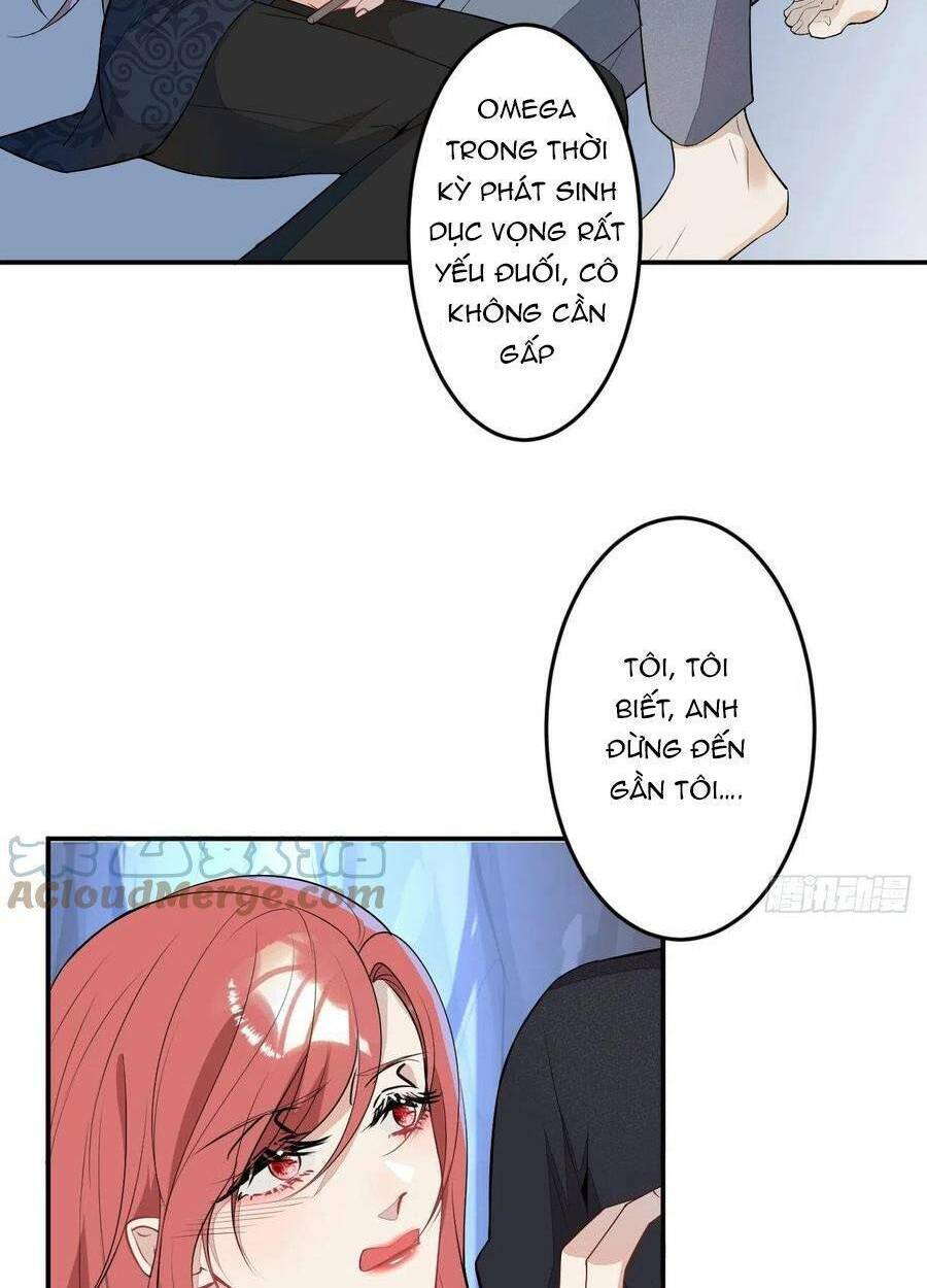 Xuyên Không Đến Thế Giới Trở Thành Đóa Hoa Của Anh: Chapter 58