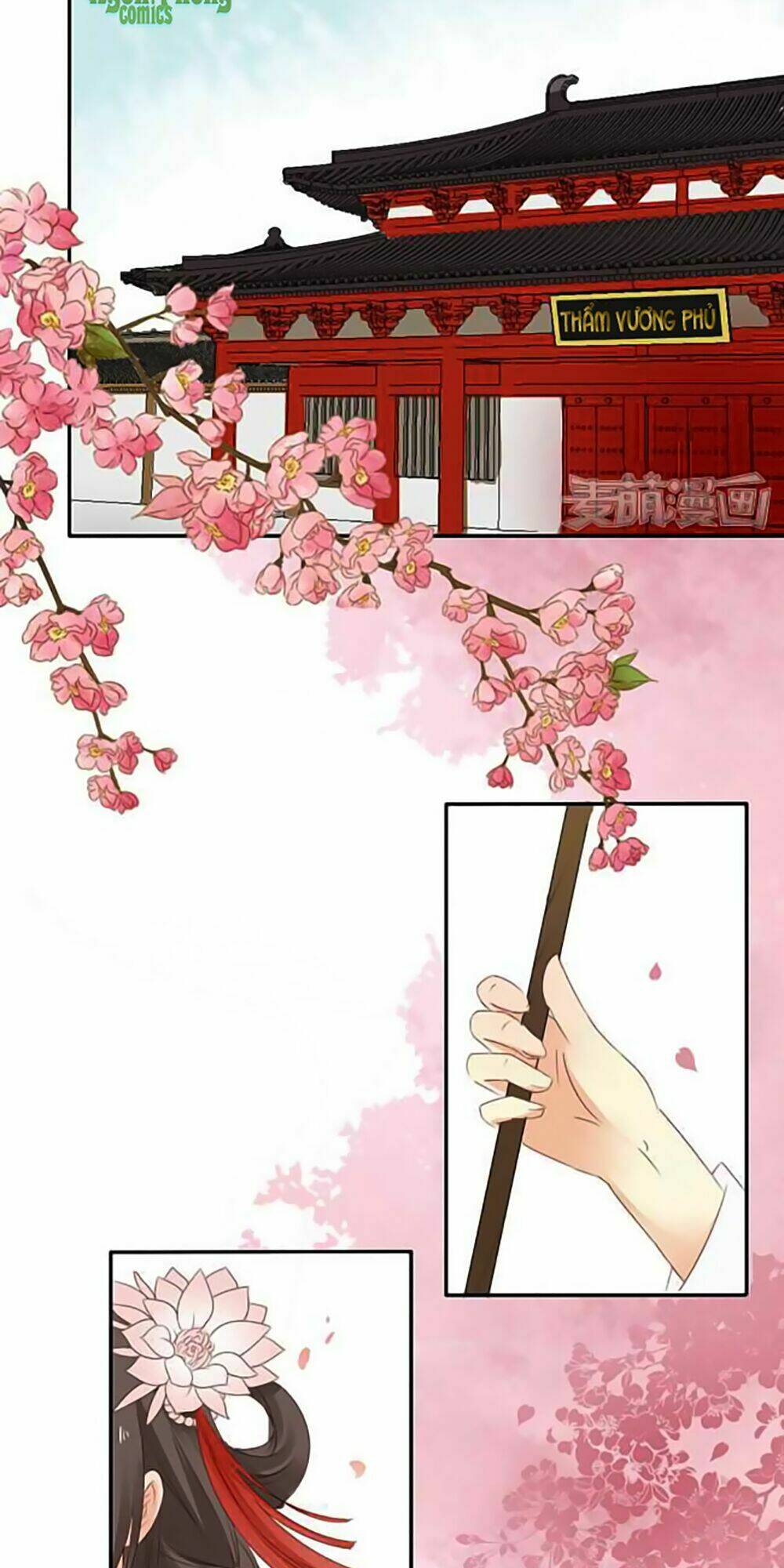 Quy Tự Dao: Chapter 3