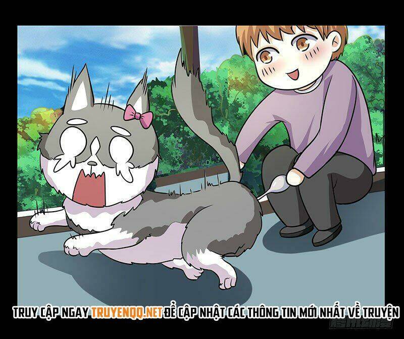 Quy Luật Năm Bản Mệnh Của Hồ Ly: Chapter 18