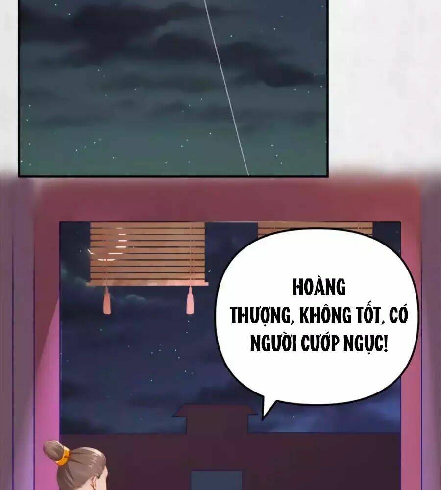 Hoạn Phi Hoàn Triều: Chapter 48