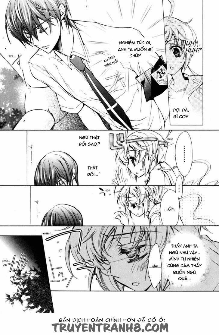 S.L.H (Stray Love Hearts): Chapter 12