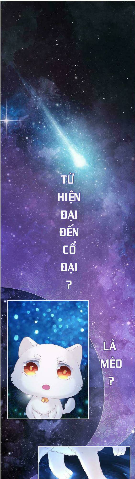 Báo Cáo Vương Gia, Vương Phi Là Một Con Mèo: Chapter 1