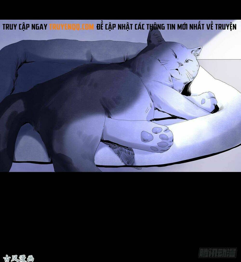 Ẩn Số Về Tứ Gia: Chapter 1