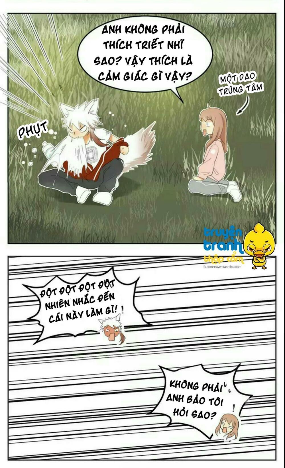 Cứu mạng ! Loài mèo thống trị thế giới rồi !: Chapter 39