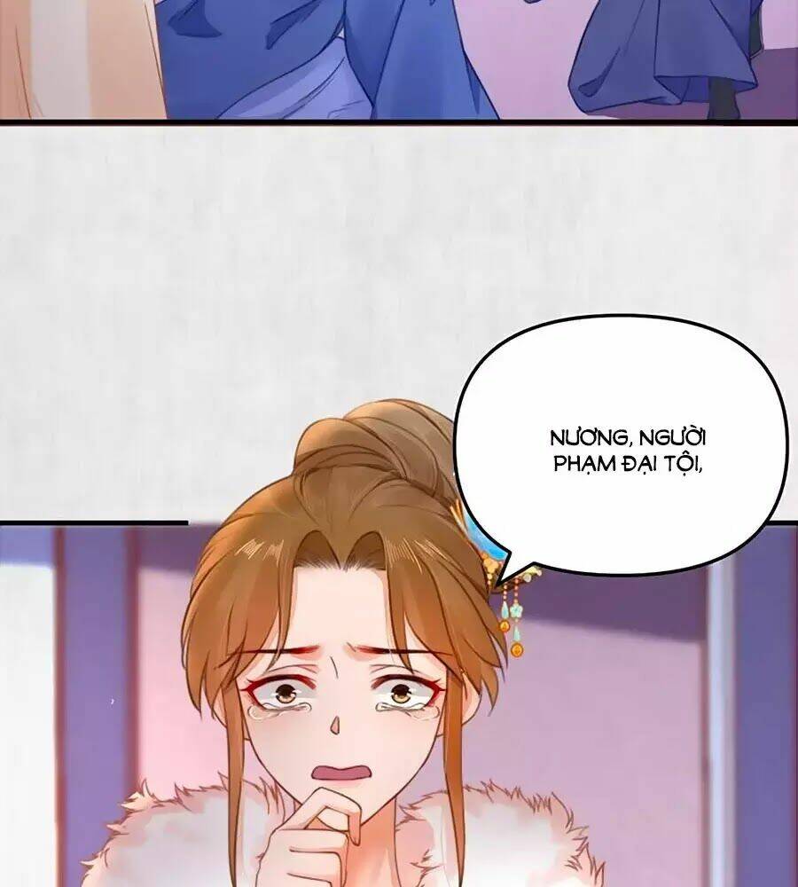 Hoạn Phi Hoàn Triều: Chapter 50