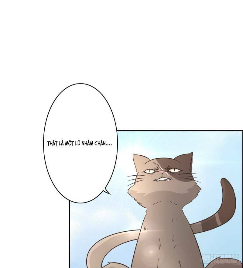 Song Miêu Đồ Đằng: Chapter 2