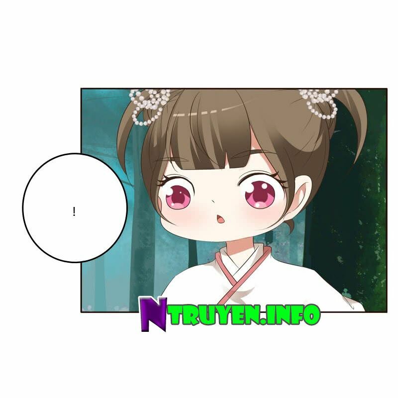 Thông Linh Phi: Chapter 166
